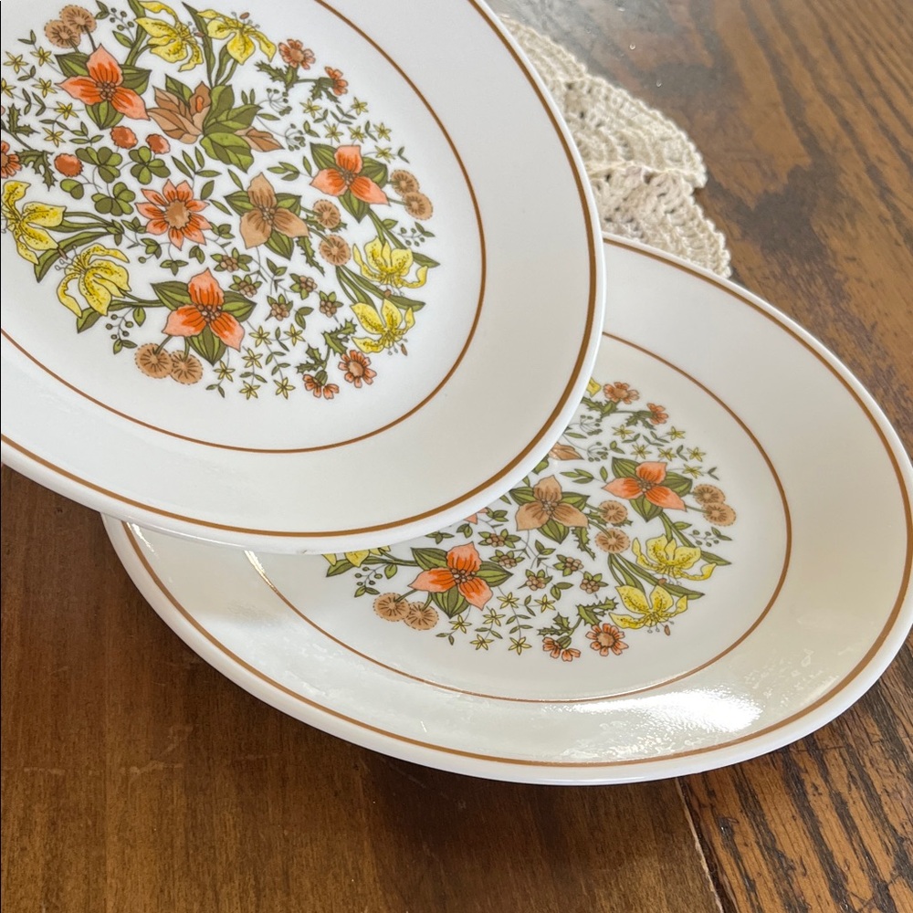 Vintage corellle Indian summer Dinner Plates in Orange, Yellow & Green
